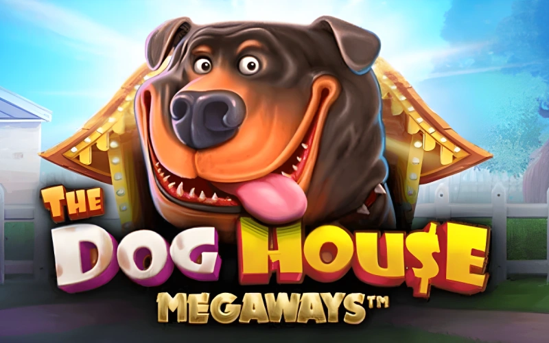 Donbet features The Dog House slot with sticky wilds and free spins.